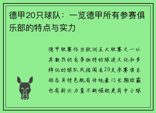 德甲20只球队：一览德甲所有参赛俱乐部的特点与实力